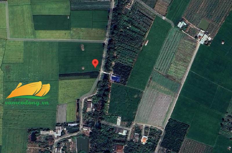 27.370.01 2000m2 đất lúa đường đan ô tô